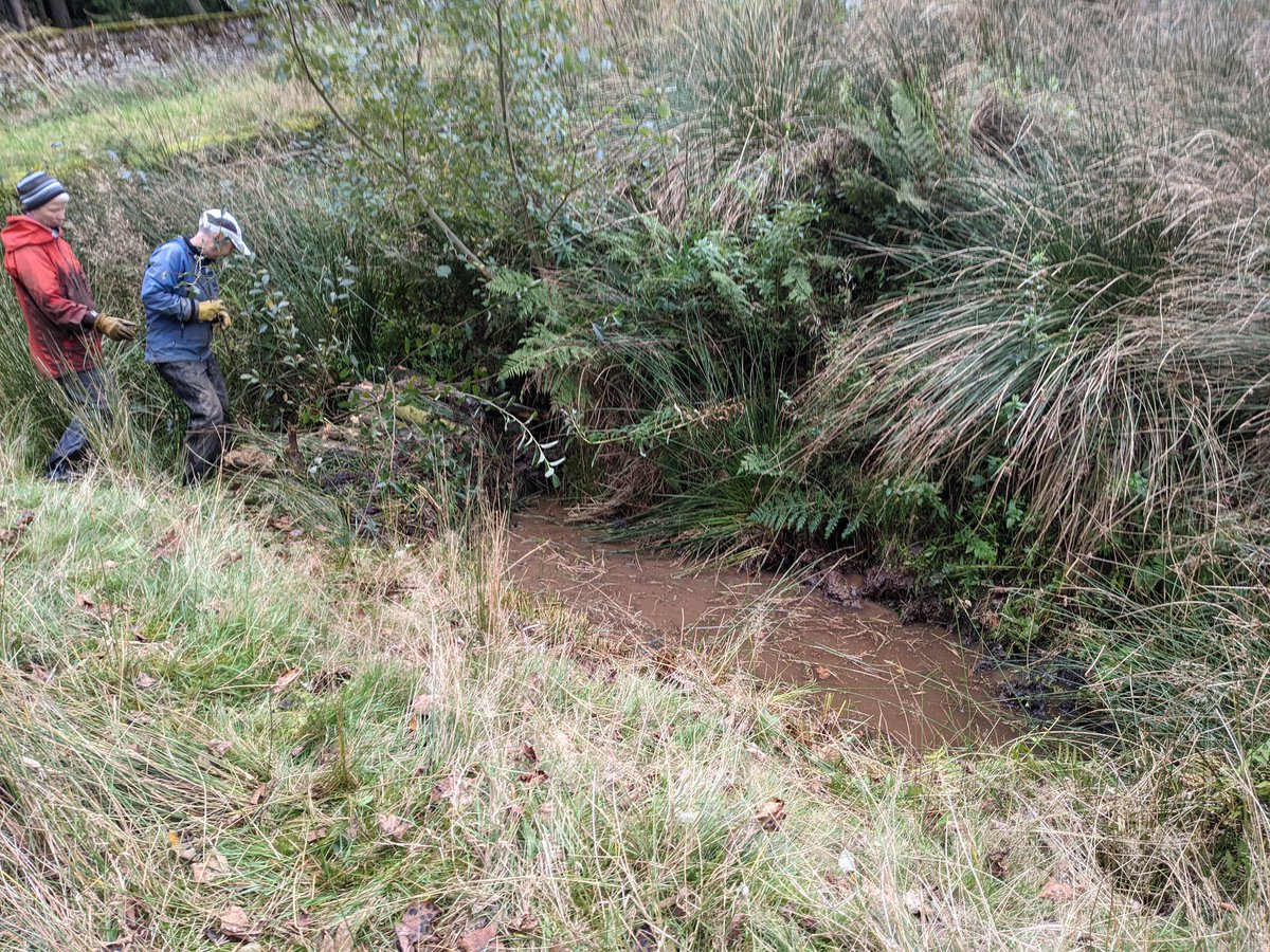 DaveHal05827369's tweet photo. @AnneGregory11 @WildSheffield @SheffieldLakes @NickySnowdon Still very clean at that stage, things went downhill rapidly 😁
Best day of messy play I've had in a long time https://t.co/COJzCmExLe