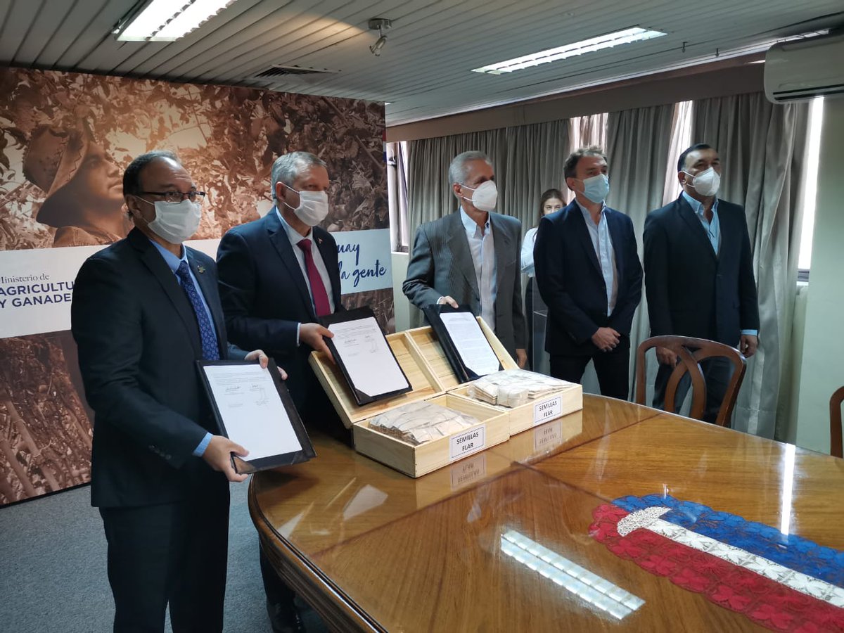 IPTA_Paraguay's tweet photo. En el marco del Convenio de Cooperación entre el @magparaguay, @IPTA_Paraguay, @SENAVEParaguay y y FEPARROZ, se realizó el acto de entrega y recepción de semillas de arroz provenientes del Fondo Latinoamericano para Arroz de Riego (FLAR), en un total de 200 líneas, https://t.co/9V2oo32Nqq