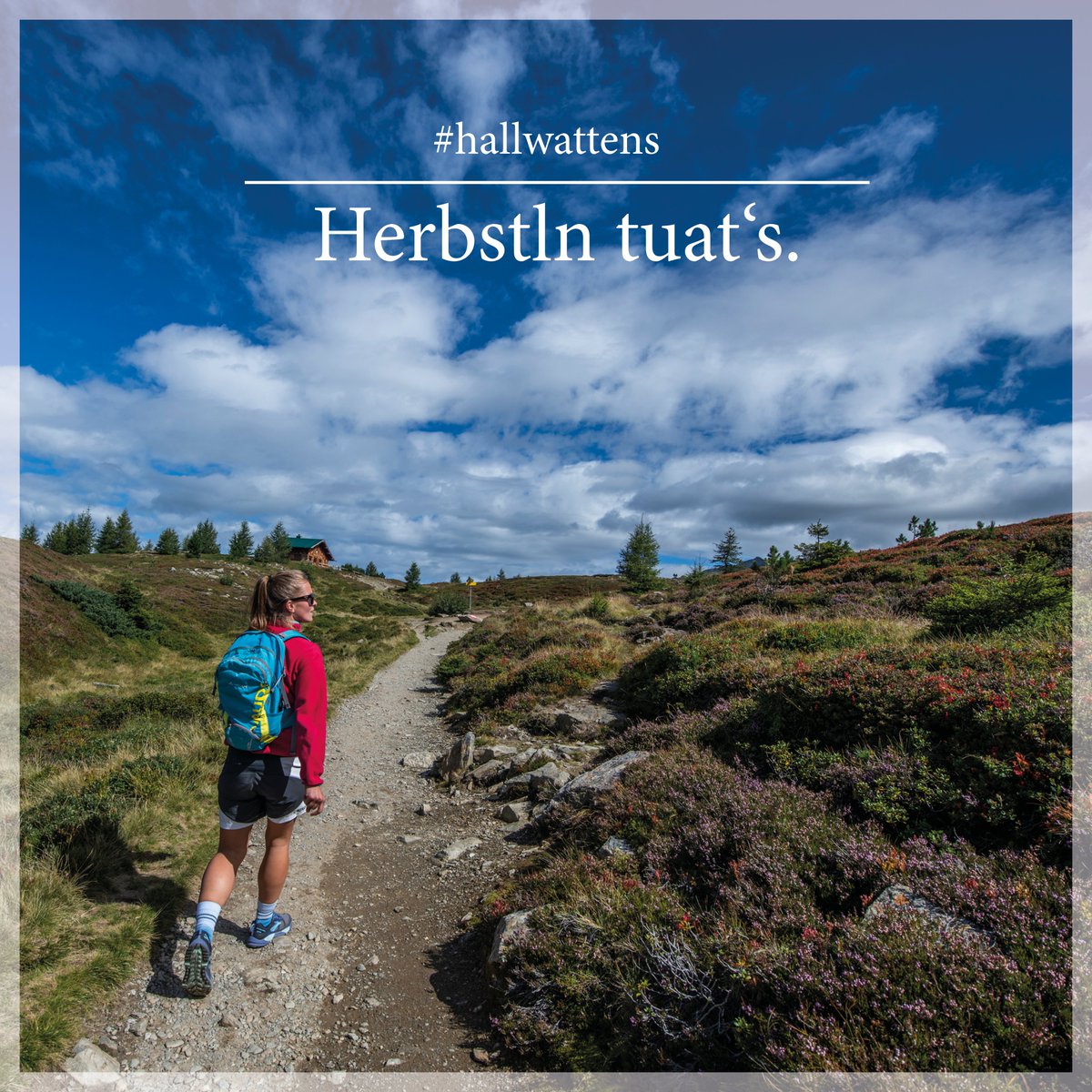 hallwattens's tweet photo. ...und zwar richtig! Besonders schön ist der #Herbst am #Zirbenweg #Tirol #Hallwattens https://t.co/BCTNG9dzKT