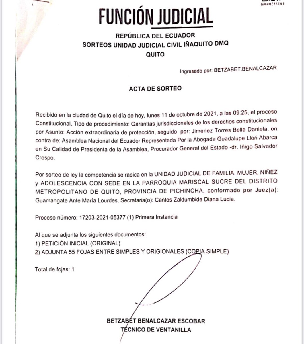 BellaJimenezecu's tweet photo. He presentado una acción de protección en contra de la ilegal actuación del Comité de Ética y su informe mal intencionado y viciado. Seguiré defendiendo mi honor y mi inocencia ante tanta violación al debido proceso.

#BastaDeInjusticias 
#NomásMentiras https://t.co/vdFEEKeFL2