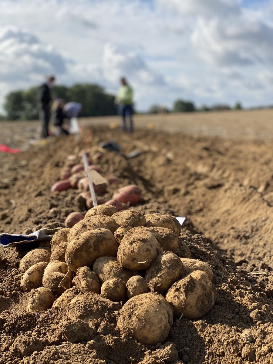 Comptoir du Plant tweet media