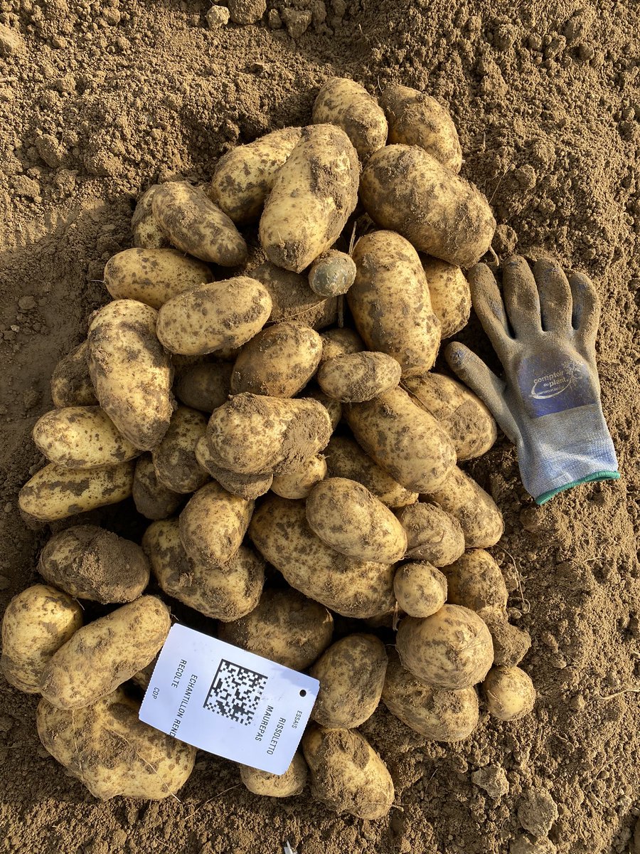 Comptoir du Plant tweet media