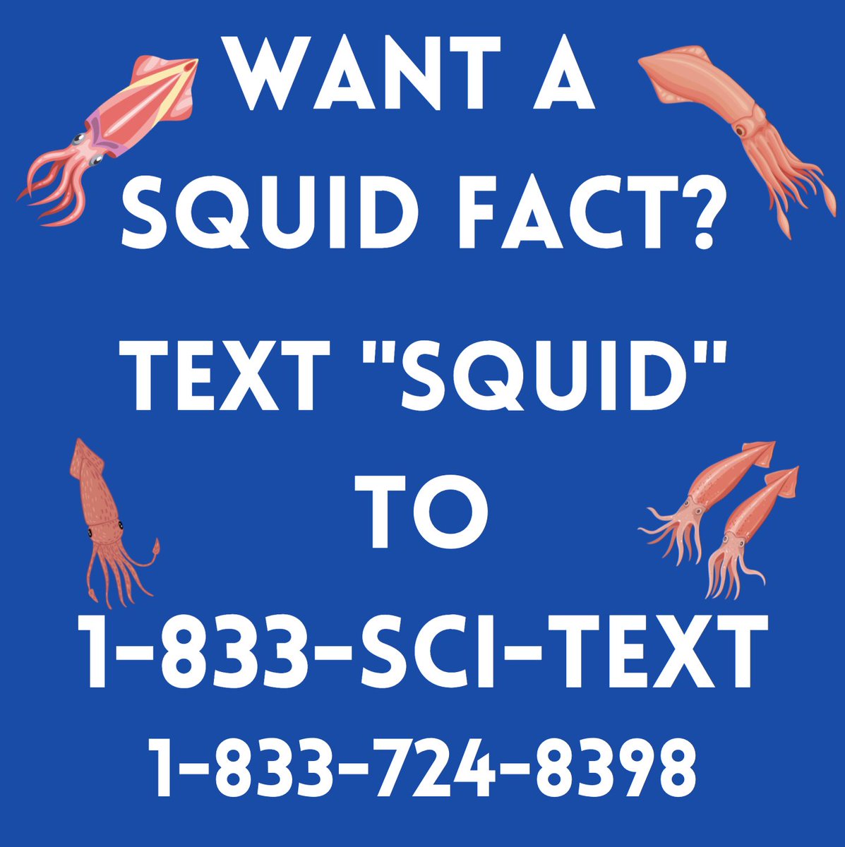 SarahMackAttack's tweet image. As far as I can tell, Squid Games does not have a single squid fact in it. This is a damn shame. 

THANKFULLY you always have the SquidFacts hotline at your service.

Text "SQUID" to 1-833-SCI-TEXT for all your Squid Facts needs