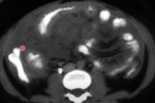 diagnostico911.org tweet media