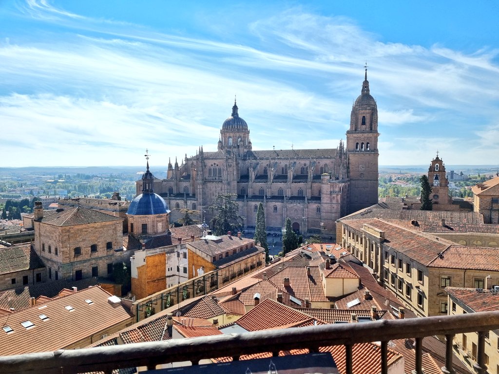 Raimundo tweet media