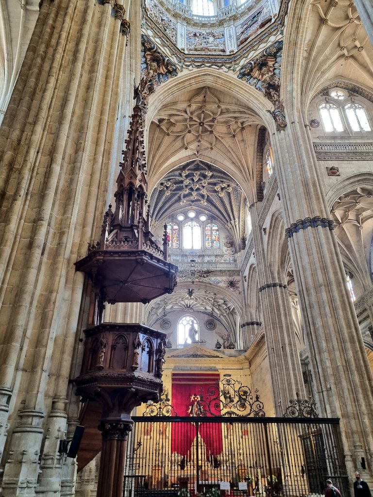 Raimundo tweet media