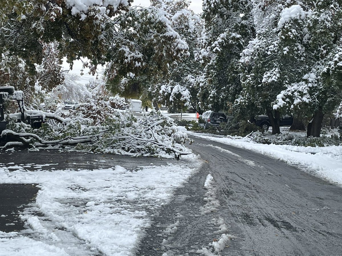 Logan City Police tweet media
