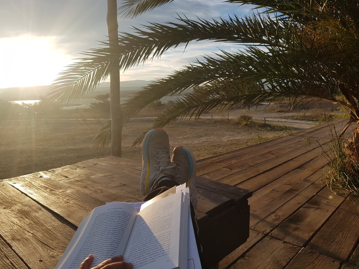 MarionFiedlerTN's tweet image. Daily reading time. #timeformyself