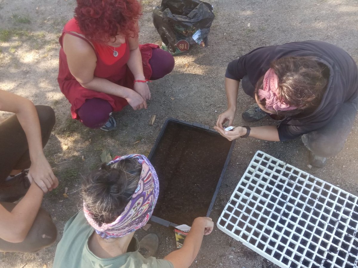 Días de preparar bancales y semilleros en <a href="/_lagordoloba/">Huerta de La Gordoloba</a>. Si aún no nos conoces, atención a finales de octubre, 🤖🎃 se viene fiestuqui Samhain y vamos a asar castañas, bellotas, calabaza y otras cosas ricas de temporada para celebrarlo.