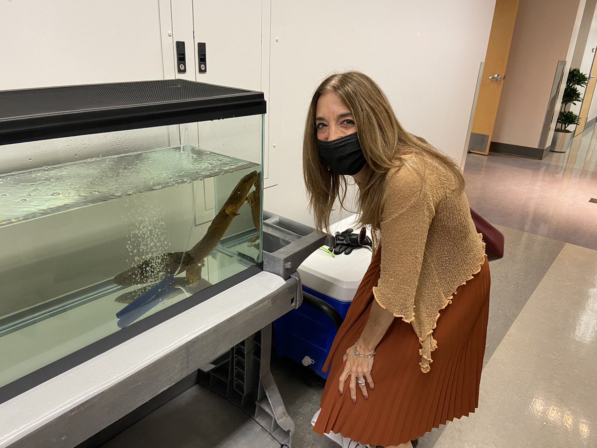 Eileen Filler-Corn tweet media