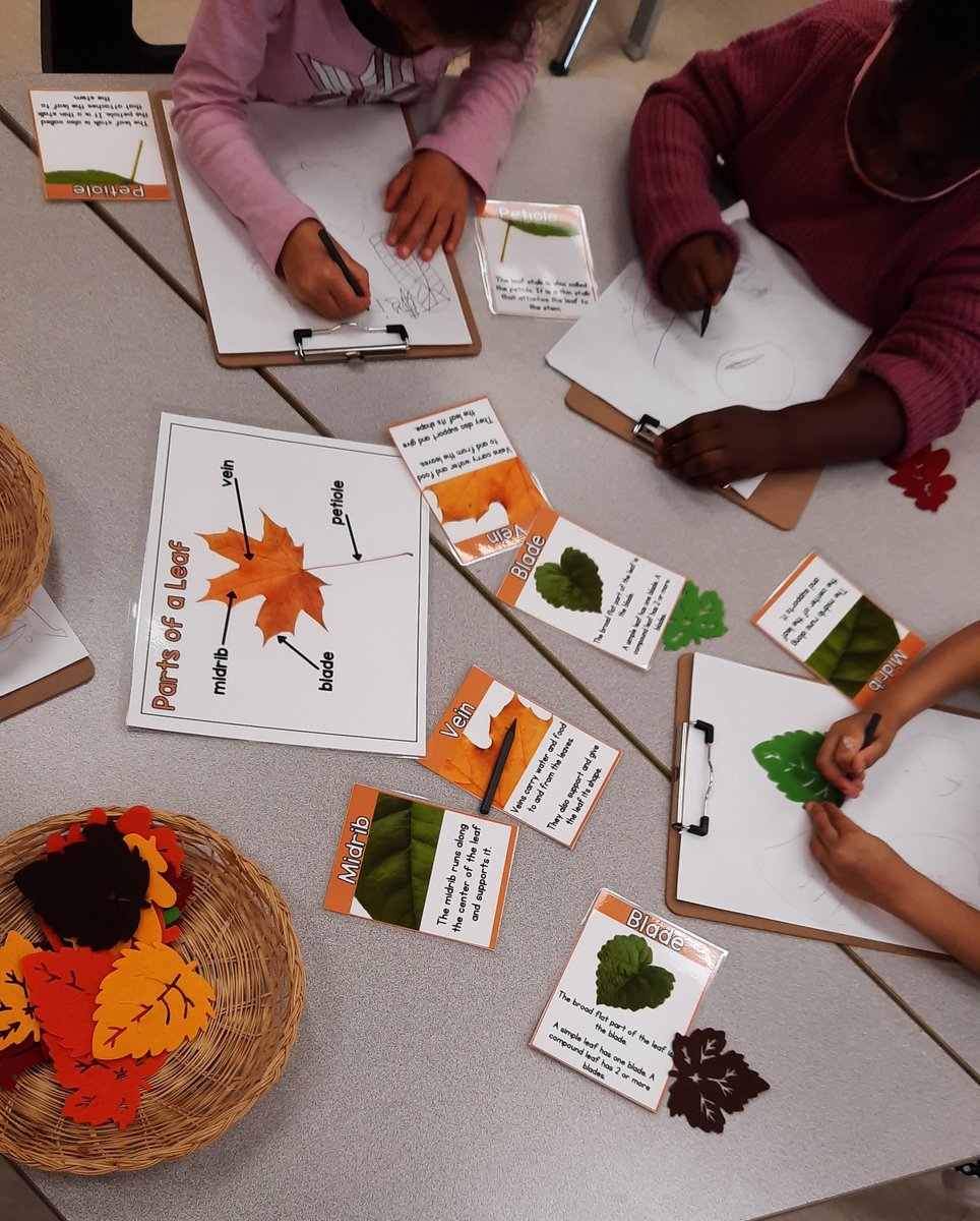 Smudja_L's tweet photo. ;: Lots of chatter today around the "leaf" table as we learned some new names and practiced our pencil grip ! #peelfam @PeelSchools @CorlissPDSB https://t.co/jypn46lg5A