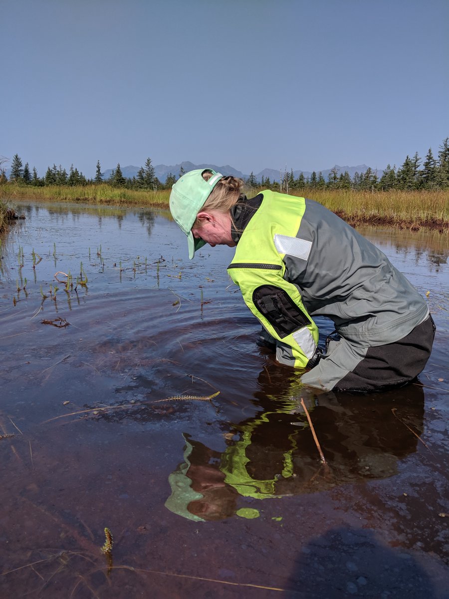 #TalkNerdyToMe  
Microbes eat methane. Want to learn about the microbial diversity in glacial outwash ponds and their roles in carbon cycling follow OSU graduate student Jessica Buser Young @buser_young or use this link to find her google scholar profile: scholar.google.com/citations?user…