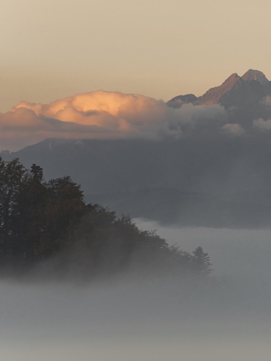 wPieniny's tweet photo. #morningvibes #pieniny #wpieninypoendorfiny https://t.co/LTG5rkyqG5