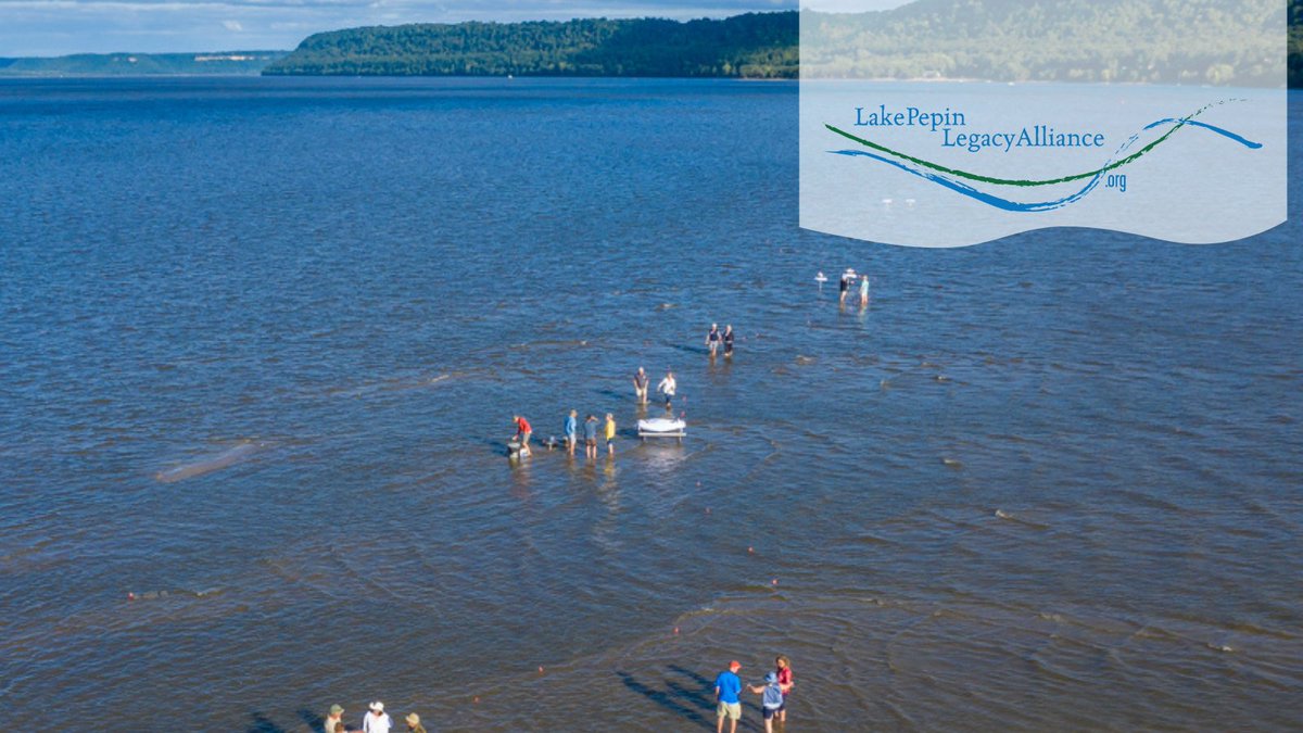 MEF Member <a href="/LakePepinLA/">Lake Pepin Legacy Alliance</a> is working to save a disappearing Lake Pepin. They are spearheading a large restoration project to improve habitat for birds and aquatic species and improve water quality. Learn more about the project and how you can help at lakepepinlegacyalliance.org