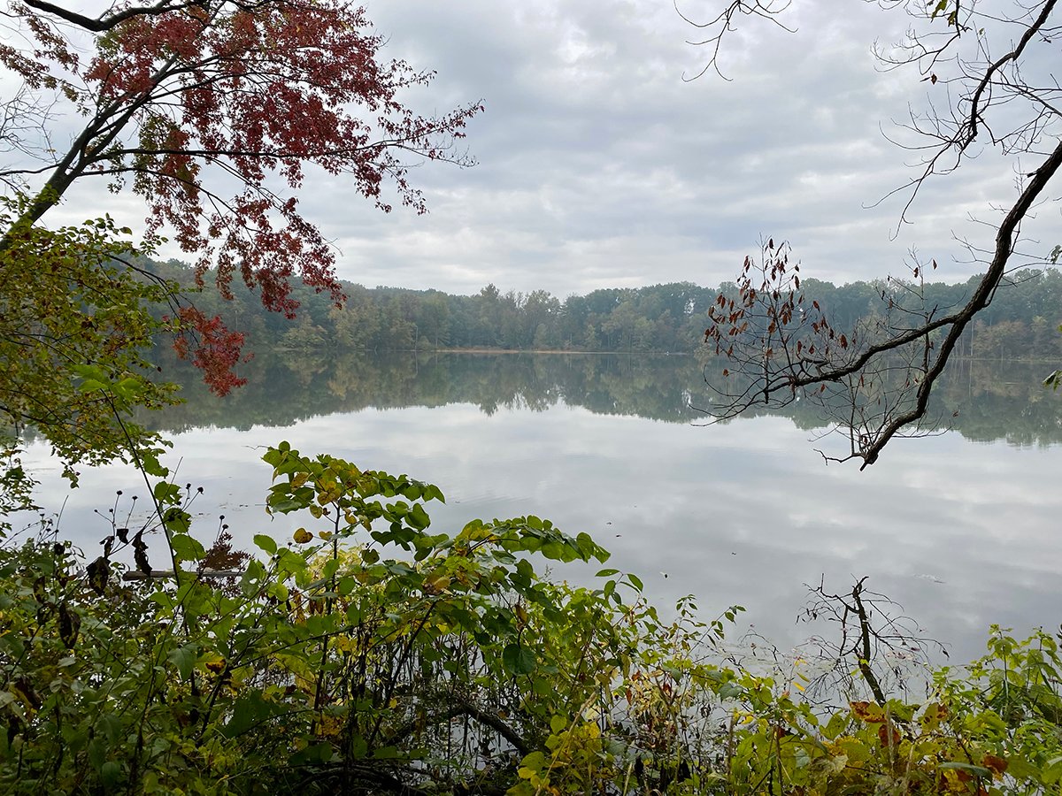 rightasrun's tweet photo. IT50 2021. The year of flooding, giant puffballs, grilled cheese, hill tickles, walnuts, and snakes. So thankful to everyone who makes this race so special! My race recap » https://t.co/xNIpnq2j8o https://t.co/10XRUPh8wh