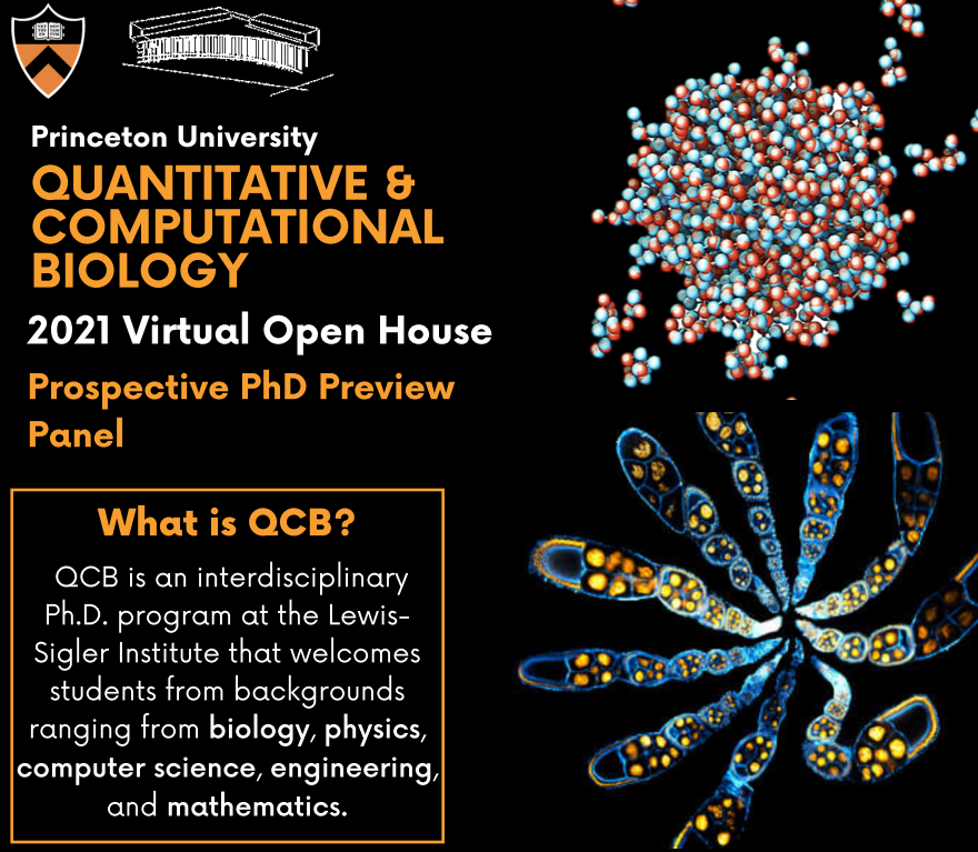 scientistsiena's tweet photo. So excited to announce this year's @Princeton QCB Open House for prospective PhD applicants!

Come learn about our amazing program 🐯 https://t.co/Two8viARpy