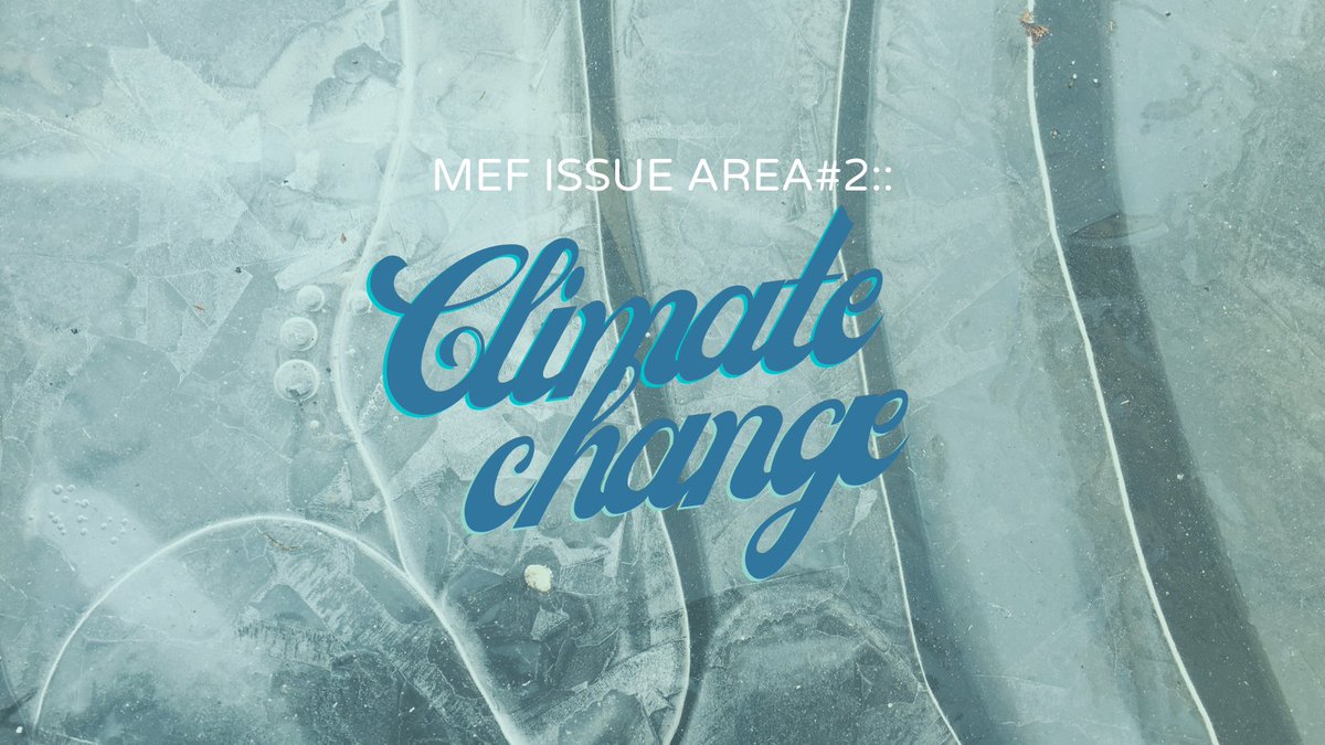 MEF member are working to mitigate the harmful effects of climate change and advocate for climate solutions.

Learn which organizations are doing this important work at mnenvirofund.org/impact and find out how you can support it beyond our closure at mnenvirofund.org/support-our-me…