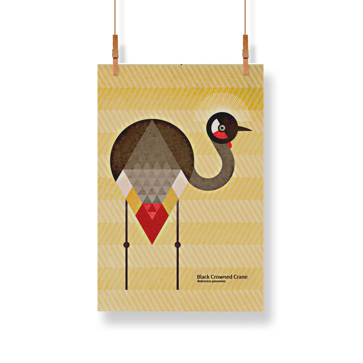 Just a few days left on our #BirdsongProject <a href="/Kickstarter/">Kickstarter</a>!!! Here are just a few of the amazing rewards. The more we can raise now, the more we can donate to save these incredible birds, their songs &amp; their habitat >>> bit.ly/3ABTKE2