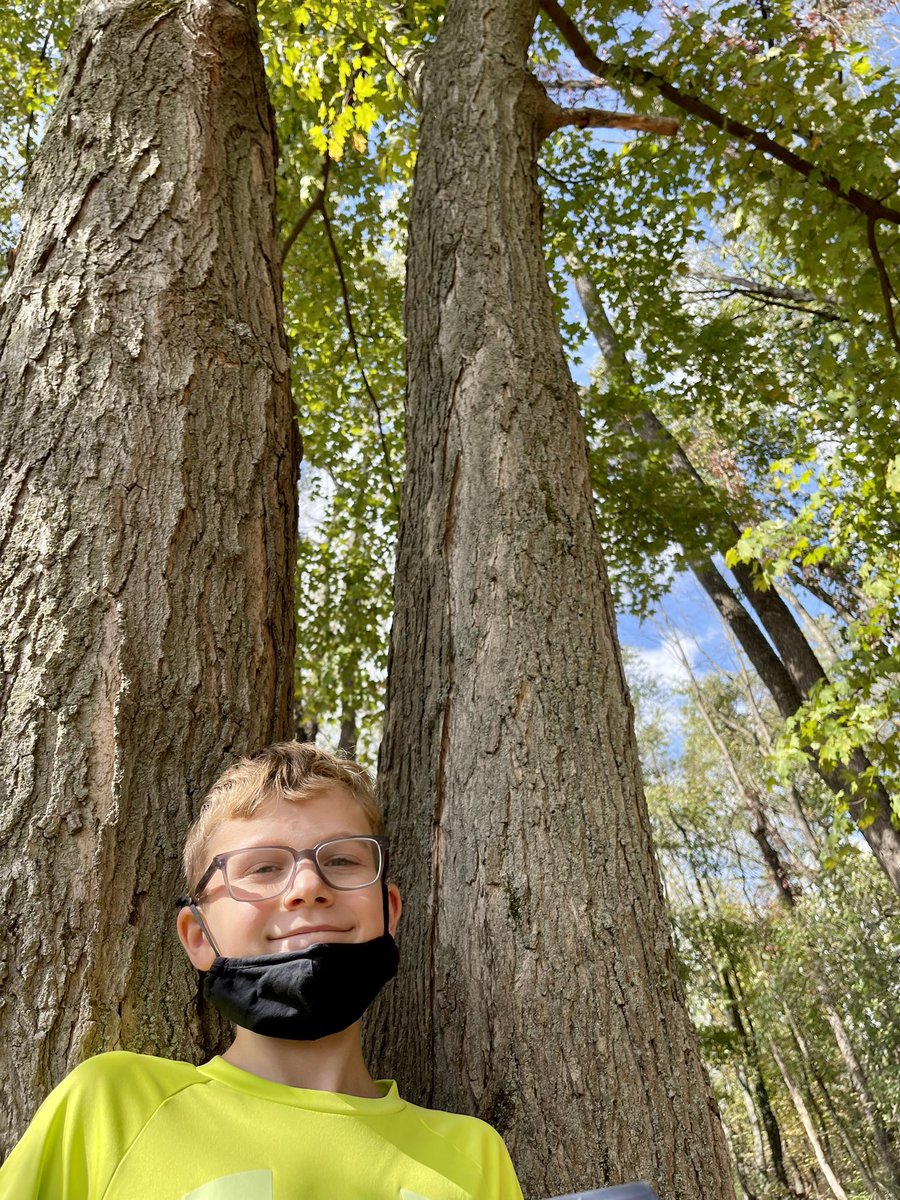 mrsjodihetman's tweet image. We used the leaves to identify the trees and started a web quest to learn more about some pretty amazing organisms! #TreeProject #Science #LandLab @BathElementary