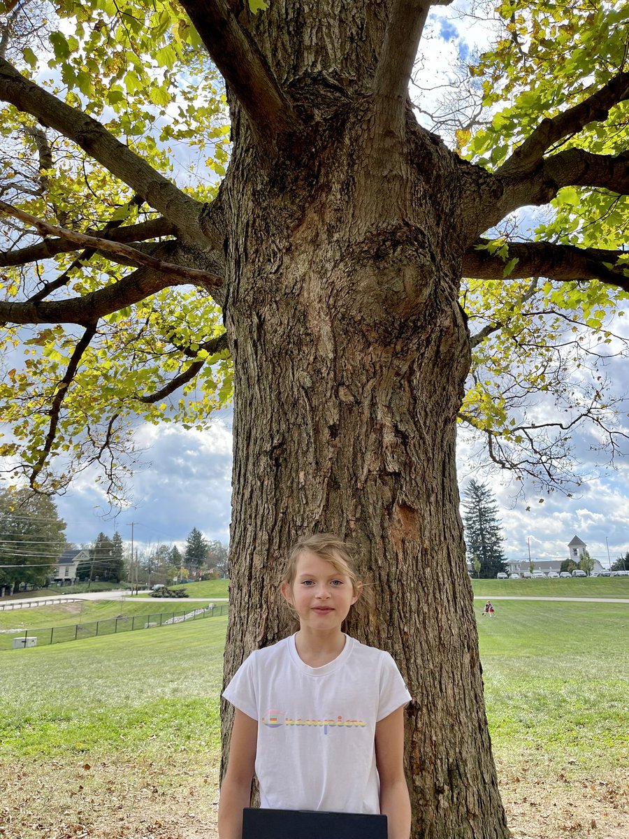 mrsjodihetman's tweet image. We used the leaves to identify the trees and started a web quest to learn more about some pretty amazing organisms! #TreeProject #Science #LandLab @BathElementary