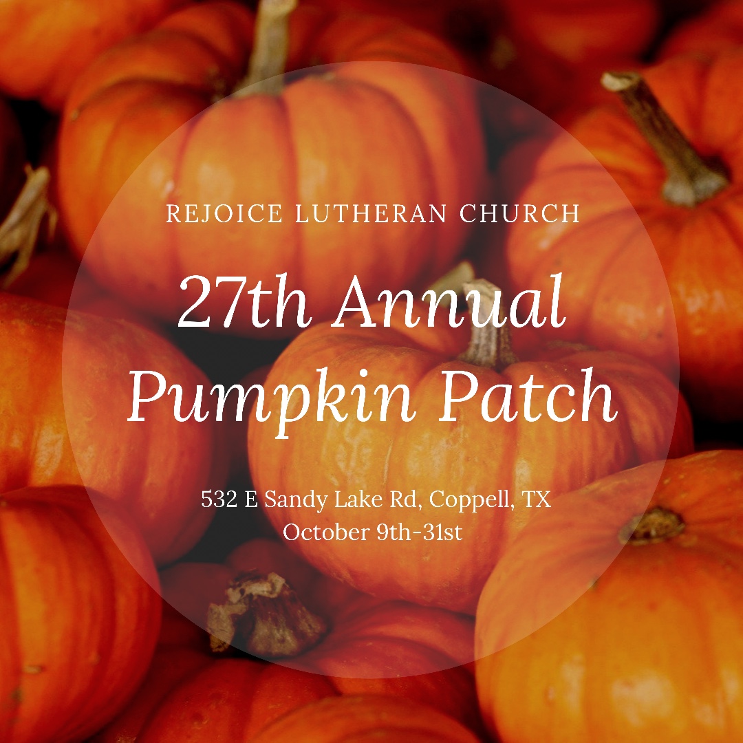 rejoicecoppell's tweet photo. Can you believe this is our 27th Pumpkin Patch? We are so grateful to have a congregation and community that supports our Pumpkin Patch! Bring a friend and come visit the patch from now until October 31st!
#pumpkinpatchcoppell #coppellpumpkinpatch #churchpumpkinpatch #coppelltx https://t.co/9ZP6aMsgw2