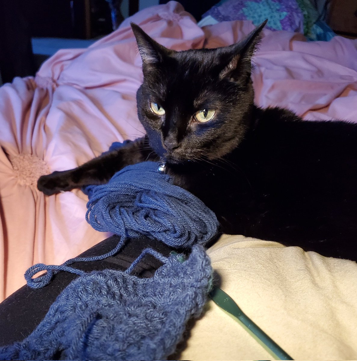sablesomething's tweet photo. No that's fine I wasn't doing anything https://t.co/80mS3KZCN5