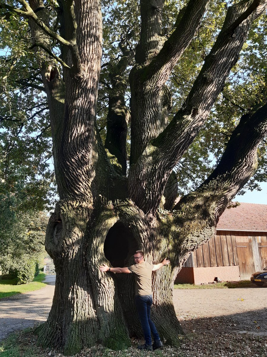 #thicktrunktuesday op jacht geweest in Duitsland dit weekend. #eik