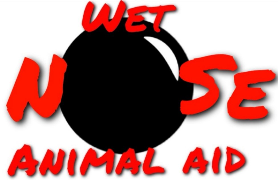 I'll keep🚶WaLkInG🚶

If you keep 💌 JuSt GiViNg 💌

 - to help a whole load of animals in smaller, lesser known rescues 🙏

justgiving.com/crowdfunding/l…