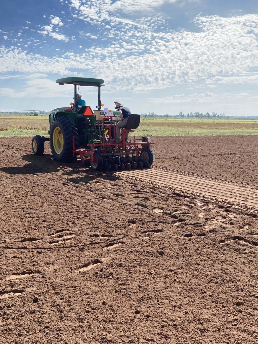 uavegstation's tweet photo. Just finished planting the 2021-2022 Multi-State Cover Crop Research Trials for the Southern Cover Crops Council ⁦@fruitveg_uaex⁩ ⁦@SouthCoverCrops⁩ https://t.co/EhD4BtqFCI