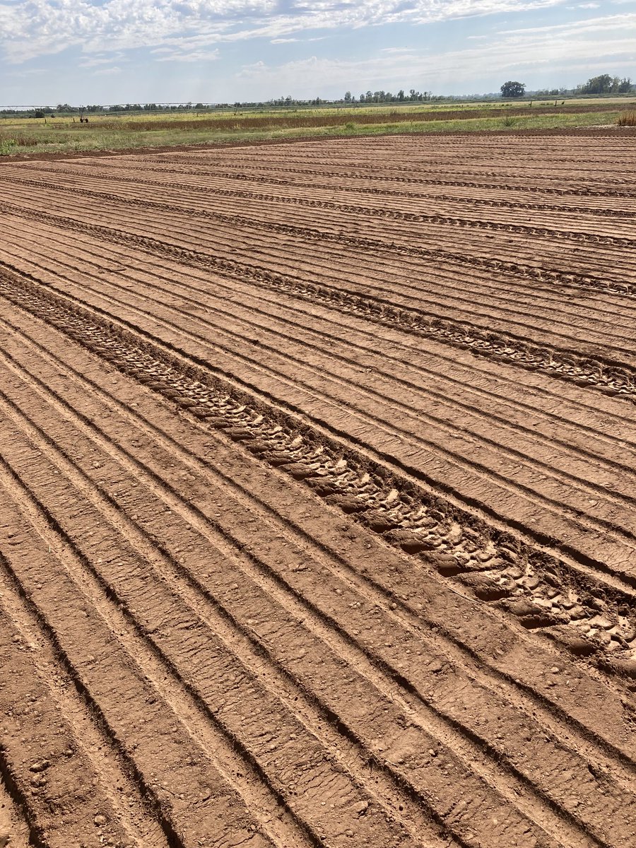 Just finished planting the 2021-2022 Multi-State Cover Crop Research Trials for the Southern Cover Crops Council ⁦<a href="/fruitveg_uaex/">Amanda McWhirt</a>⁩ ⁦<a href="/SouthCoverCrops/">SouthernCoverCropsCouncil</a>⁩