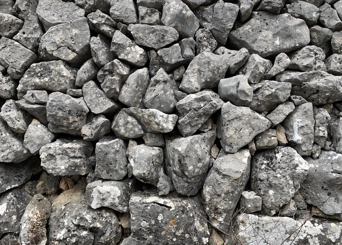 Yo soy de los que piensa que todo ser humano debe, al menos una vez en la vida, levantar o tratar de levantar un muro de piedra en seco. 

Para valorar, comprender y aprender lo que hay, o por mera sensibilidad atávica y reconciliarnos con nuestro yo anterior, qué se yo.