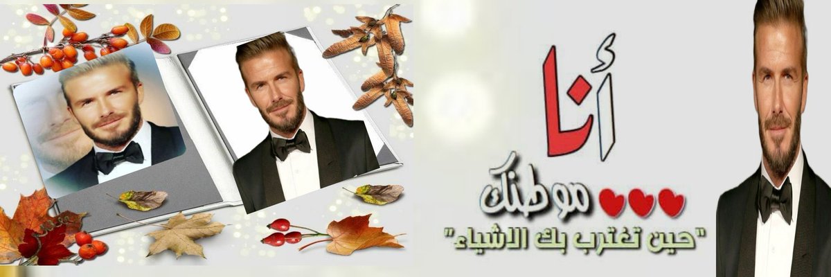 عقلاني tweet media