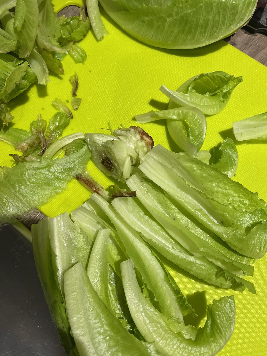 Nadia Zemouri tweet media