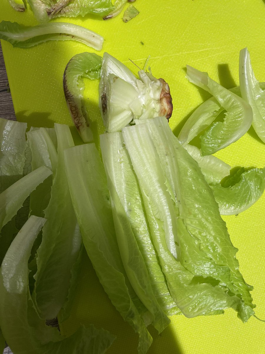 Nadia Zemouri tweet media