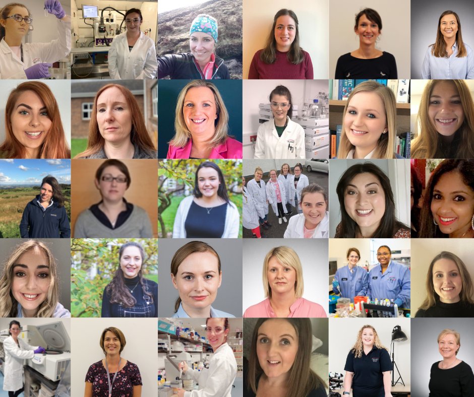 AlmacRecruiter's tweet image. Today at Almac we celebrate Ada Lovelace Day 2021! We are highlighting all women working in STEM roles across our organisation who help us to advance human health every single day. #AdaLovelaceDay2021