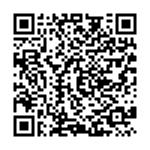 We are having Movies in the Moonlight at CASA on Friday, Oct 22, 7:00 pm.  We will be showing The Corpse Bride. Admission is one non-perishable food item.  Snacks and drinks will be provided. Join us! Use the QR code to sign up below. (QR code for CASA Students only please. )