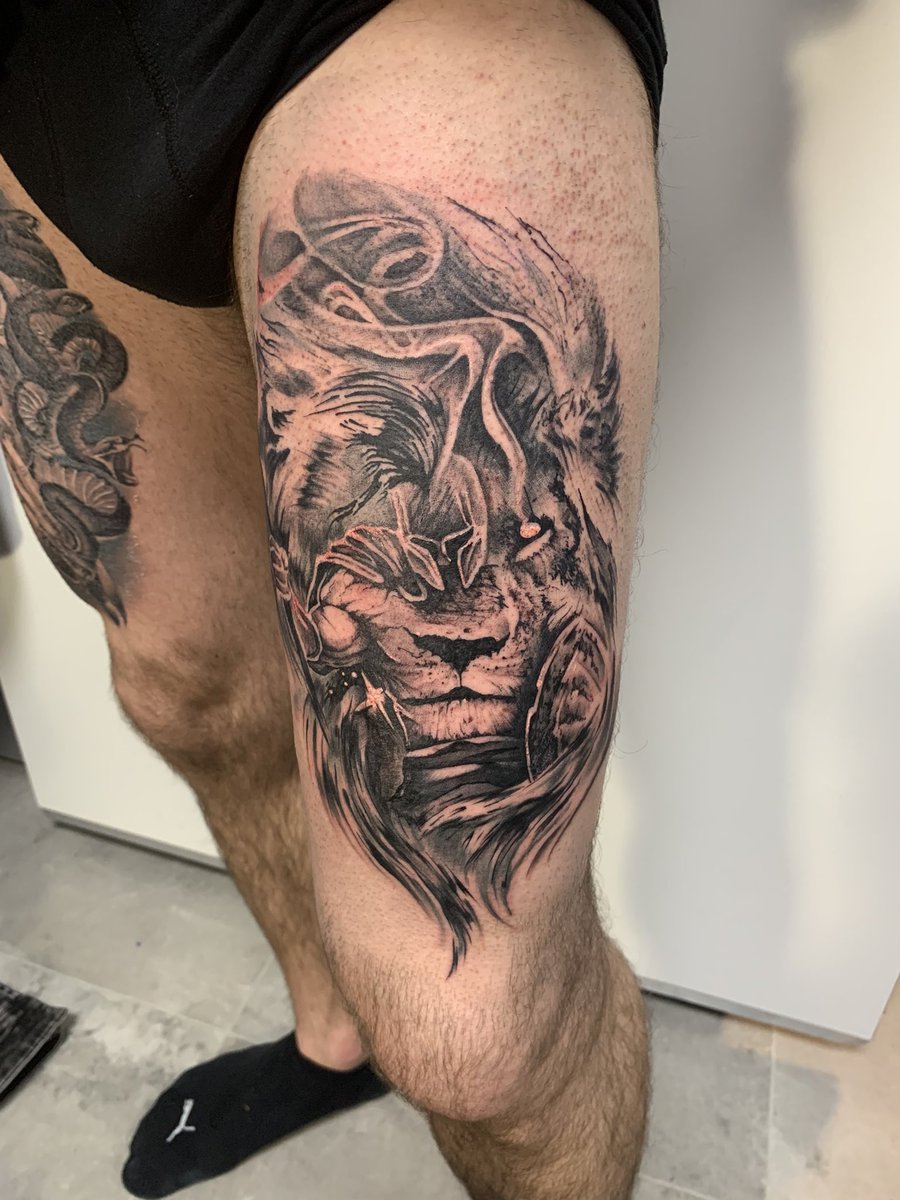lion and spartan tattooTikTok Search