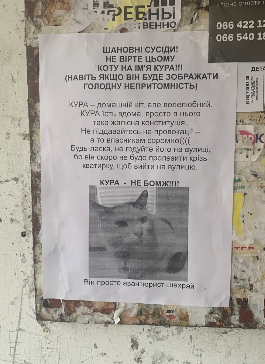 out of context Ukraine (@outukraine) on Twitter photo 