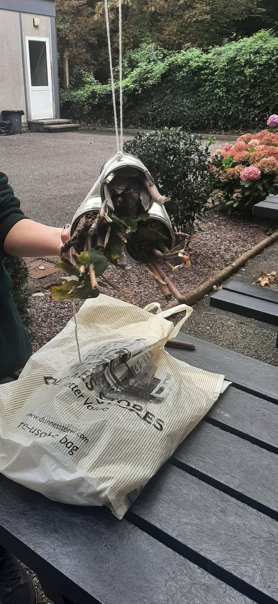 MsACoenMsLCarey's tweet photo. Great fun was had in @StAls_TY Biology today constructing the @stalscork Air B N Bee๐which will enhance biodiversity and attract pollinators to the school garden. Looking forward to seeing the finished product and using the garden produce in #HomeEconomic ๐๐ฆ๐ท๐๐ชฐ๐๐๐ฟ๐ท๐ชด๐ https://t.co/cFZkJGCY2z