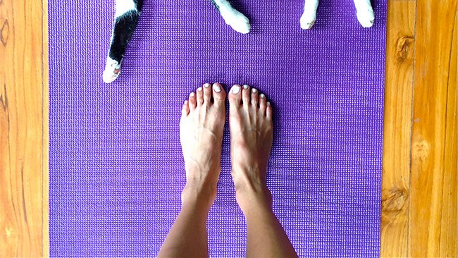 It's Foot Fetish Time Jamie Chung's Feet