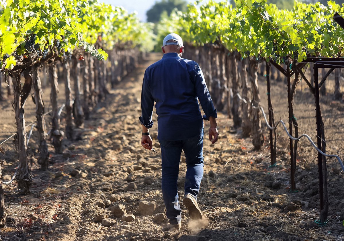 Farming, agriculture, and a love for the land has always been the most important part of winemaking at J. Lohr. Join us in honoring the hard work of our California farming community today for #NationalFarmersDay! <a href="/cagrownofficial/">CA GROWN</a>