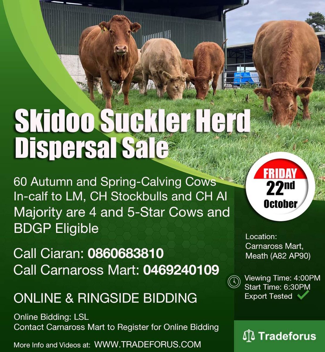 🌟🌟 A Sale not to be Missed 🌟🌟