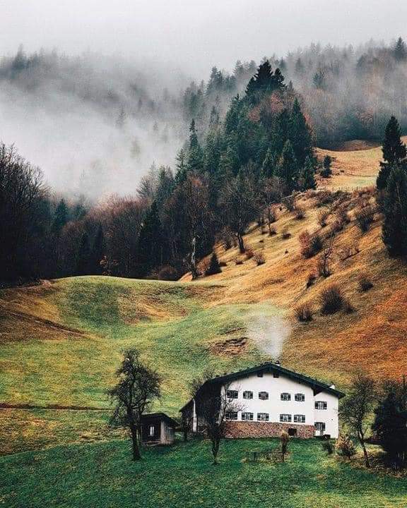 jeanne❀ tweet media