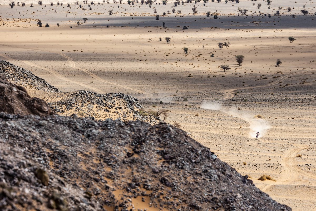 Kevin Benavides tweet media