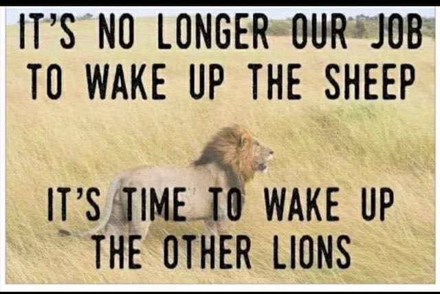 Wevin45726687's tweet photo. @henry_eisenhart Wake up youre being controlled! #BeALion #ImALion #Roar https://t.co/3P1KYfE6Pq
