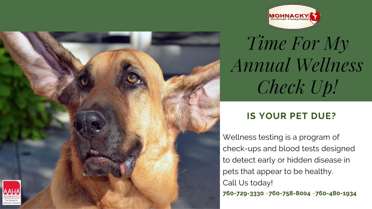 Mohnacky_Vets's tweet image. Is your pet due?