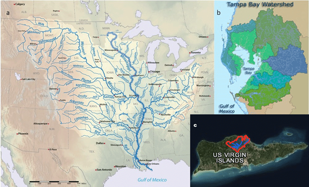 Strong Coasts tweet media