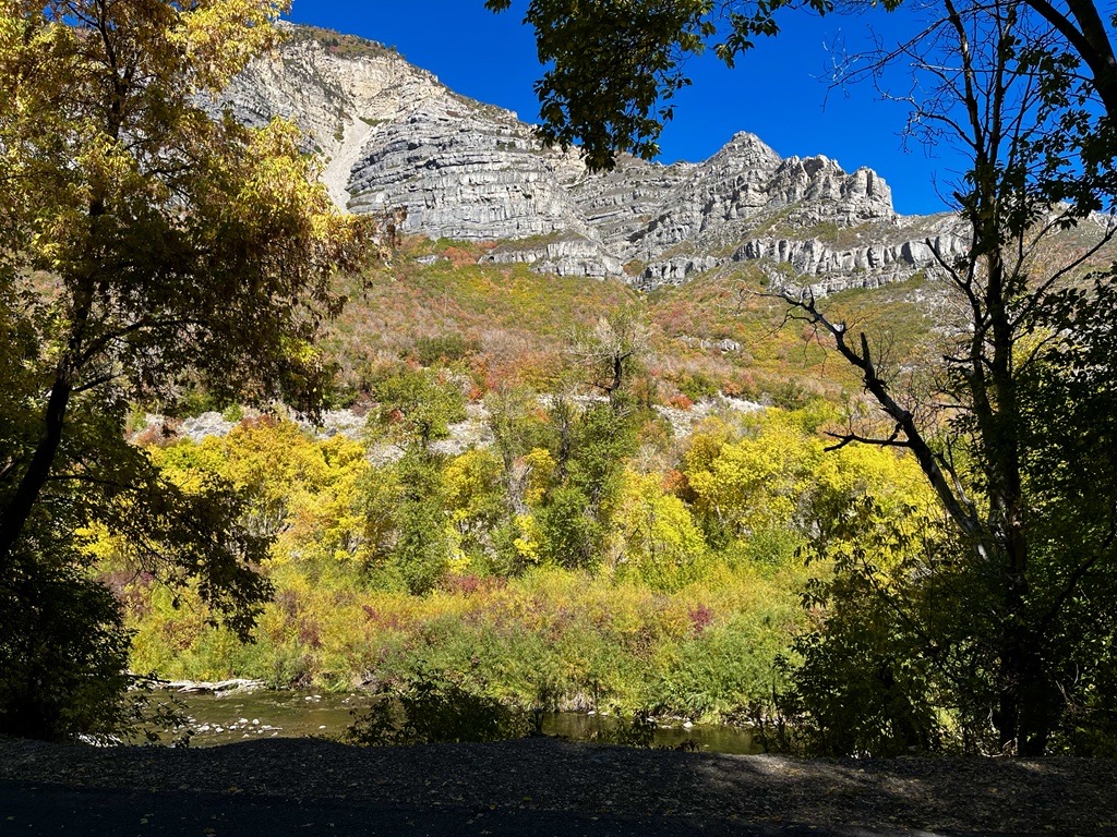 Neumontu's tweet photo. It's hard not to fall 🍂 in love with Utah when it looks like this. Bring on the pumpkin spice!

#punintended #pumpkinspicelife #utahfall #neumont
#nccs https://t.co/bjBuul2rsw