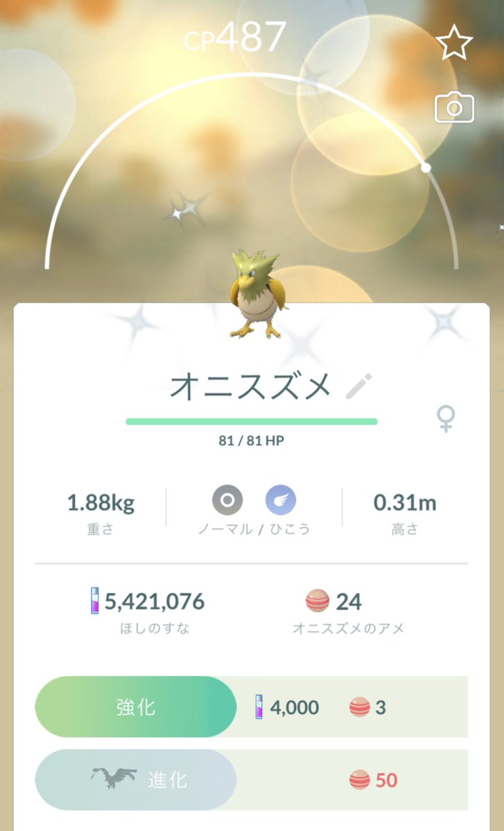 ポケモンgo オニスズメの入手方法 能力 技まとめ 攻略大百科