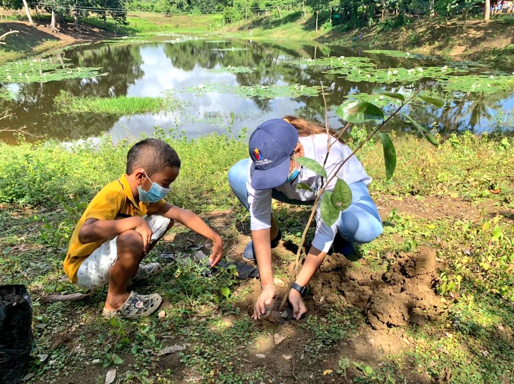 monterialcaldia's tweet photo. La zona rural también se vinculó a la Gran Sembratón  @MinAmbienteCo 🌳.  Con asociaciones de productores  del corregimiento de Santa Clara nuestro equipo de Agricultura y Desarrollo Rural sembró   árboles de guayaba agría, guanábana, mango, polvillo, roble, caoba. #UnÁrbolPara https://t.co/Rv0sLZaUyp